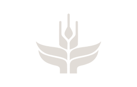 Foresight Portal | GloMIP