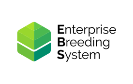 Enterprise Breeding System (EBS | GloMIP