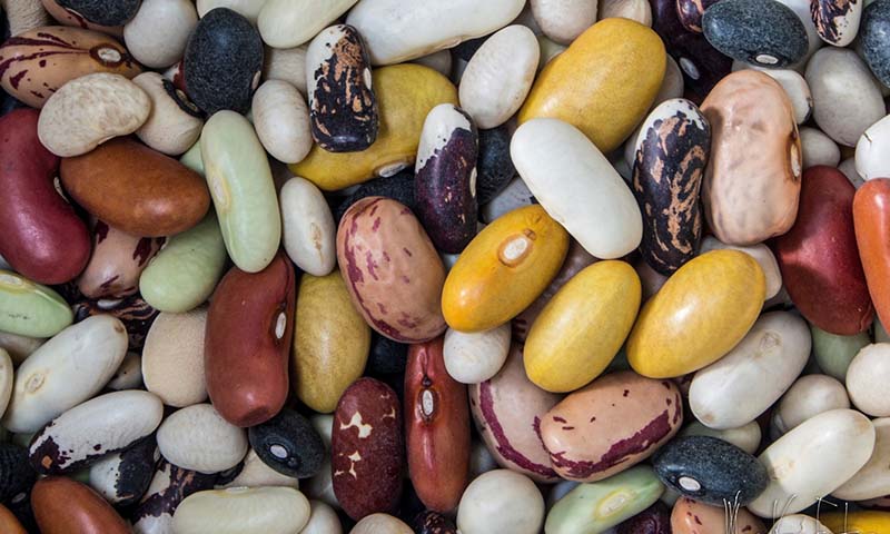 Adjustments to Bean Market Segments Based on Color and Size