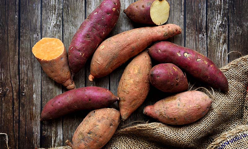 Refining Market Segmentation and Target Product Profiles for Sweetpotato in South-eastern Asia