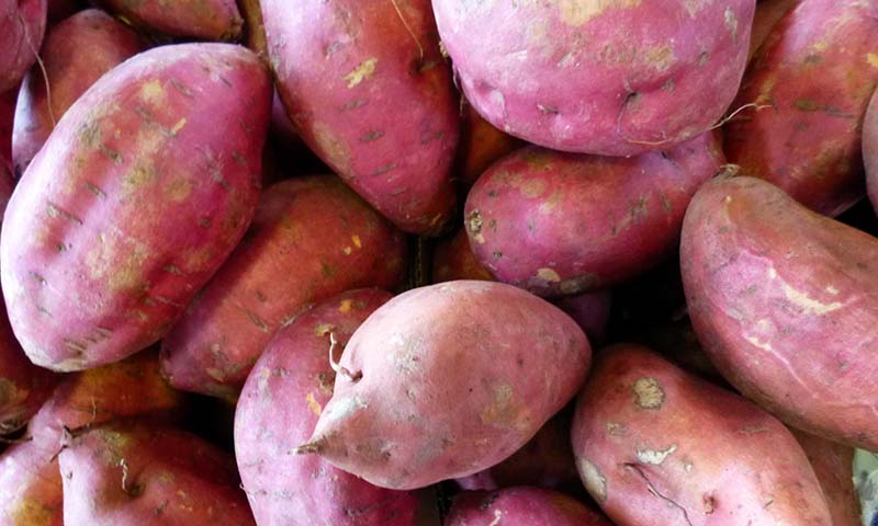 Refinements to Sweetpotato Market Segmentation