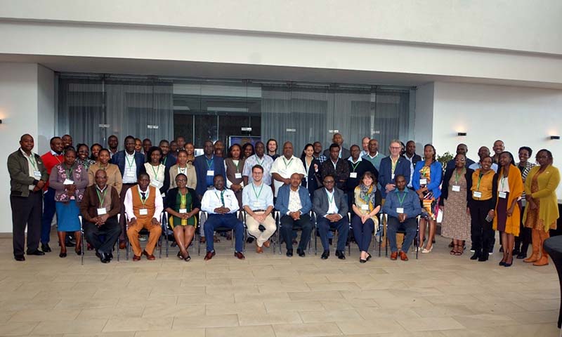 How Maize Seed Companies Use Market Intelligence