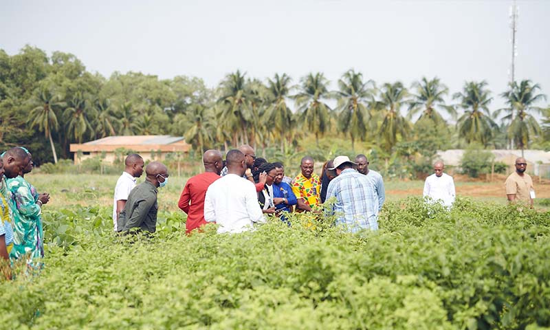 Pepper Market Segment Validation Workshops in Benin and Tanzania