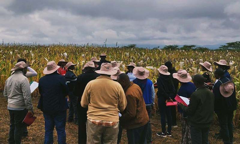 Drylands crops elevating product design team’s role toward impactful product selection
