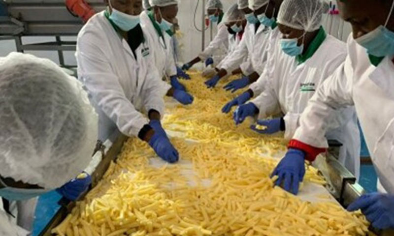 The Future of Potato Processing in Eastern Africa: Meeting the Needs of Farmers and Industry