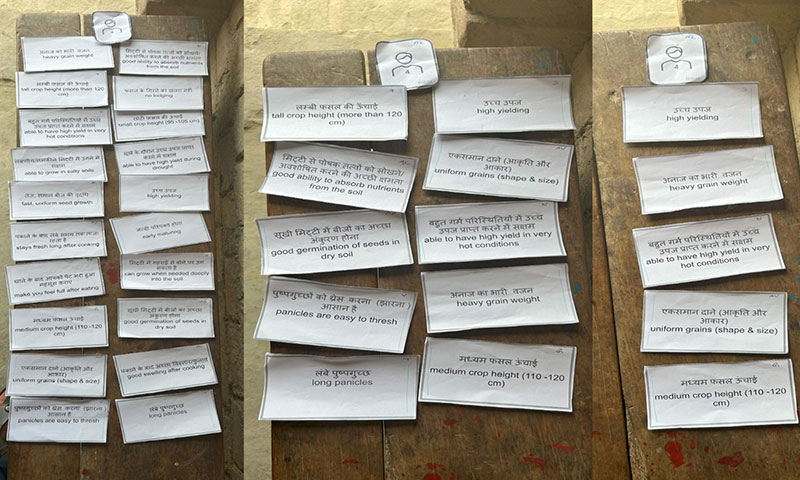 Gendered Trait Preferences for Direct Seeded Rice in Bihar, India