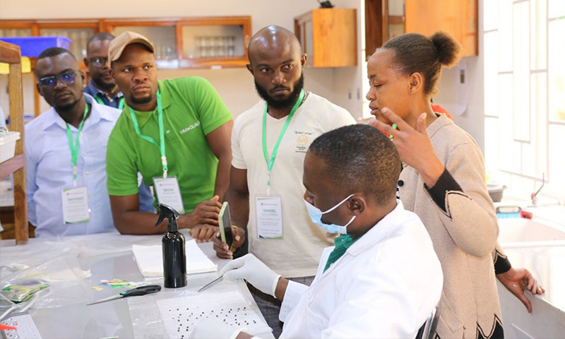 Tomato and Peppers Market Segmentation Workshop for Central and Southern Africa