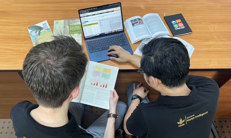 Unlocking Agricultural Insights: Introducing GloMIP Impact Portal for Crop Improvement Research