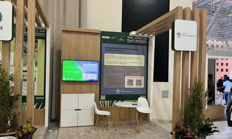 Reducing ambiguity in agricultural research and development: Insights from a global experiment with plant breeding professionals