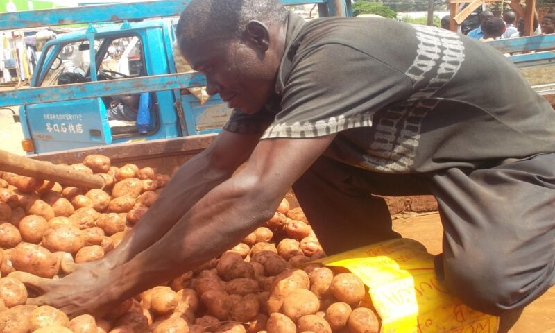 Refinements to potato market segmentation