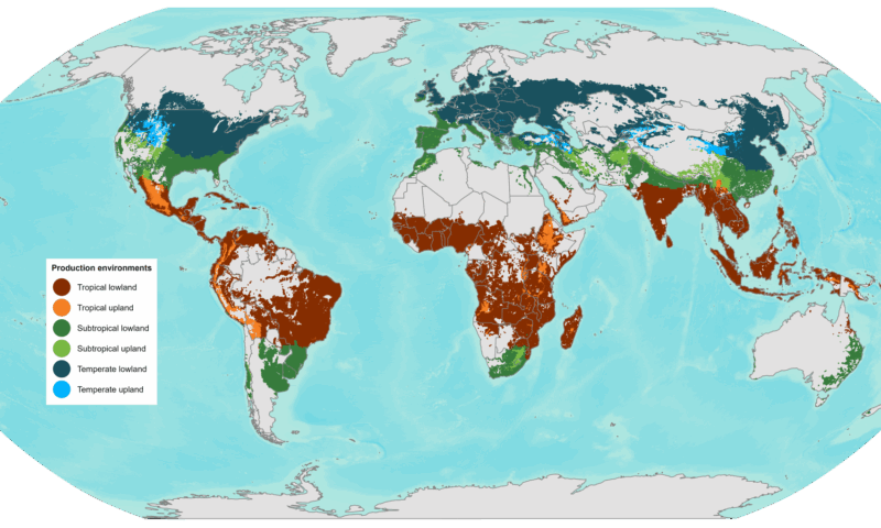 Let’s map together: using spatial analysis to support market segmentation