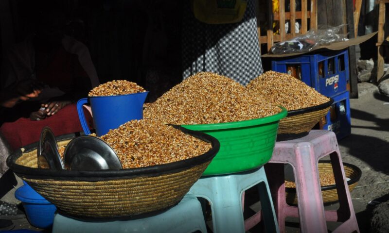 Breeders refocus products to serve multistakeholder needs