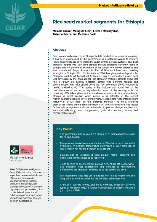 Rice seed market segments for Ethiopia