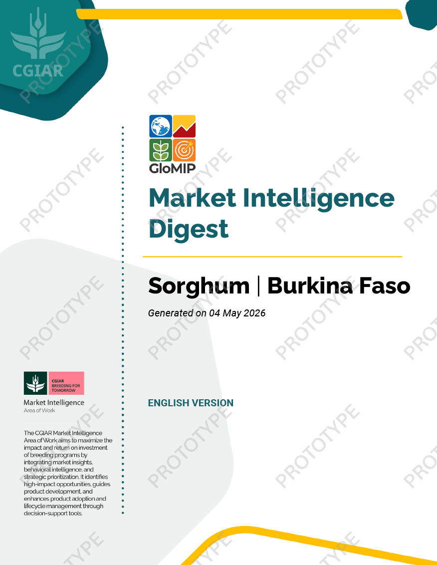 Market Intelligence Digest: Sorghum | Burkina Faso